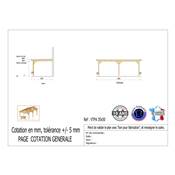 Abri Toit Plat Adossé Bois Douglas France Carport Auvent voiture 350x500cm H 250cm