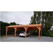 Abri Deux Pentes Faitage Dcal, Bois DOUGLAS